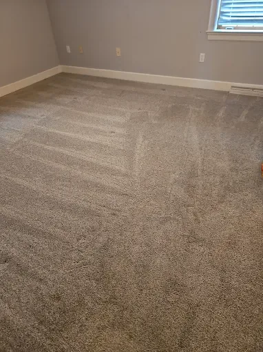 Freshly vacuumed bedroom carpet with perfect vacuum lines